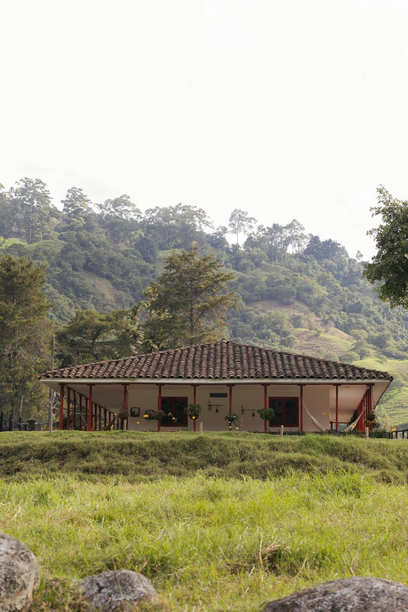 סאלנטו La Cabana Ecohotel - Valle Del Cocora מראה חיצוני תמונה