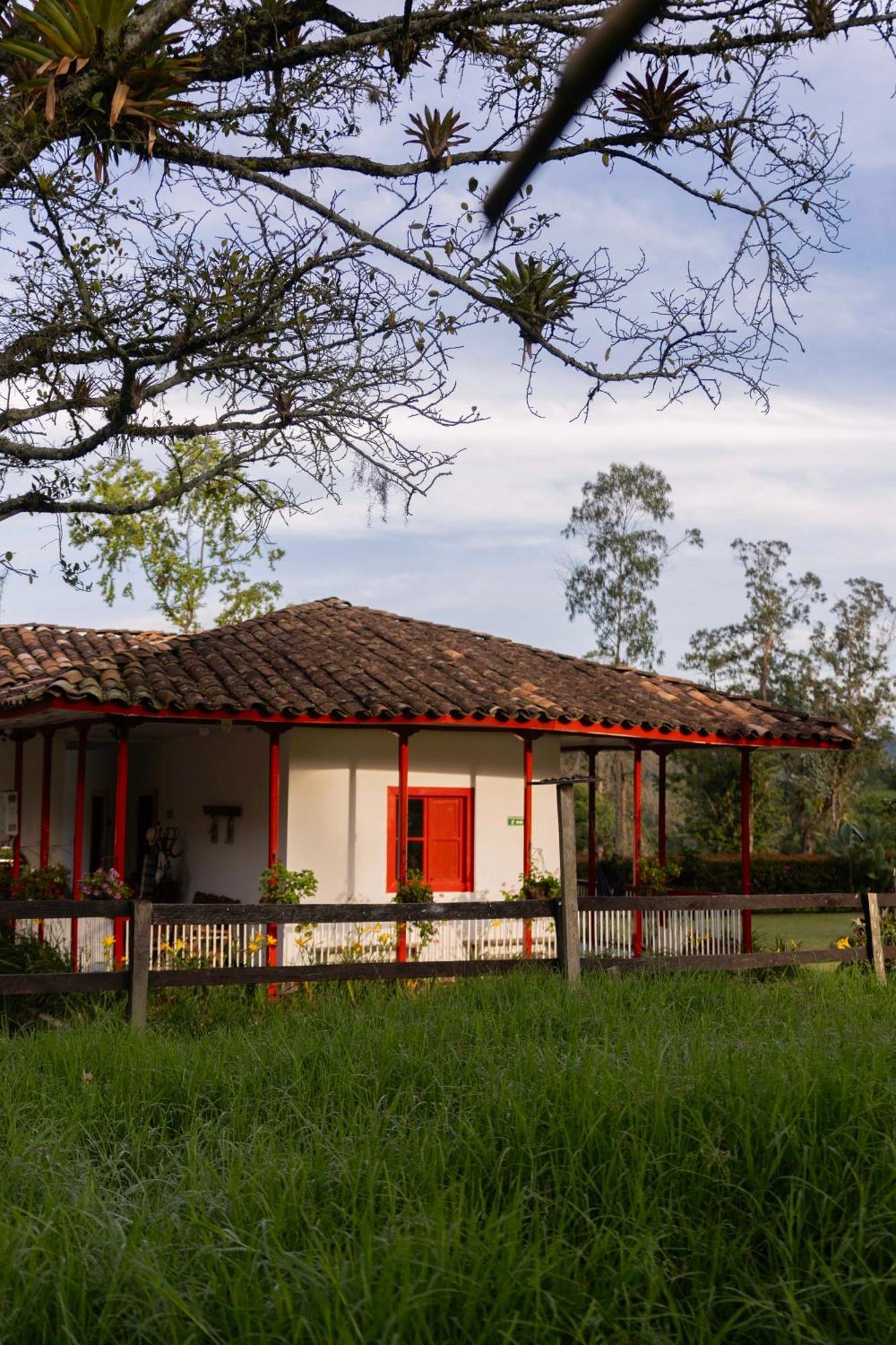 סאלנטו La Cabana Ecohotel - Valle Del Cocora מראה חיצוני תמונה