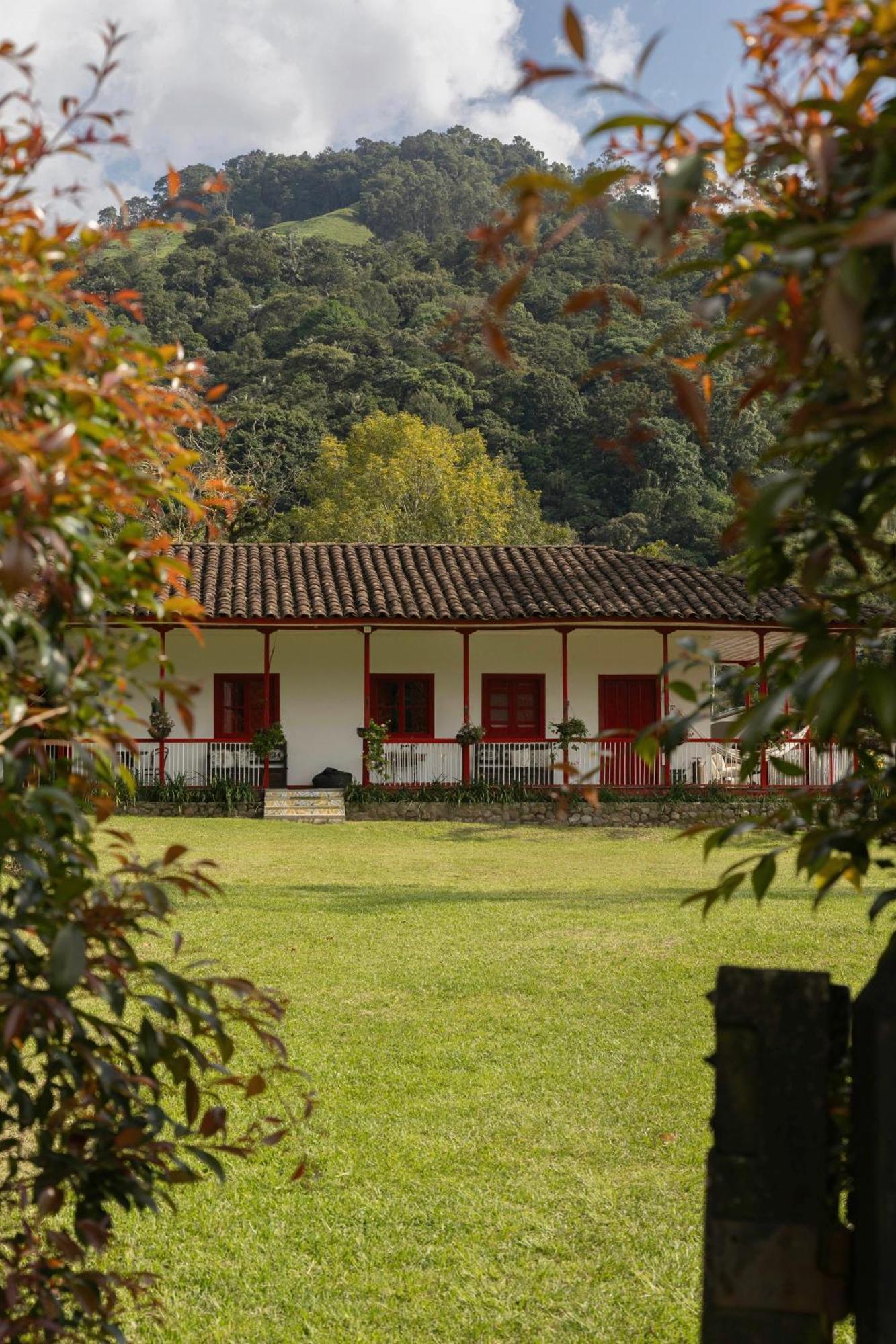 סאלנטו La Cabana Ecohotel - Valle Del Cocora מראה חיצוני תמונה