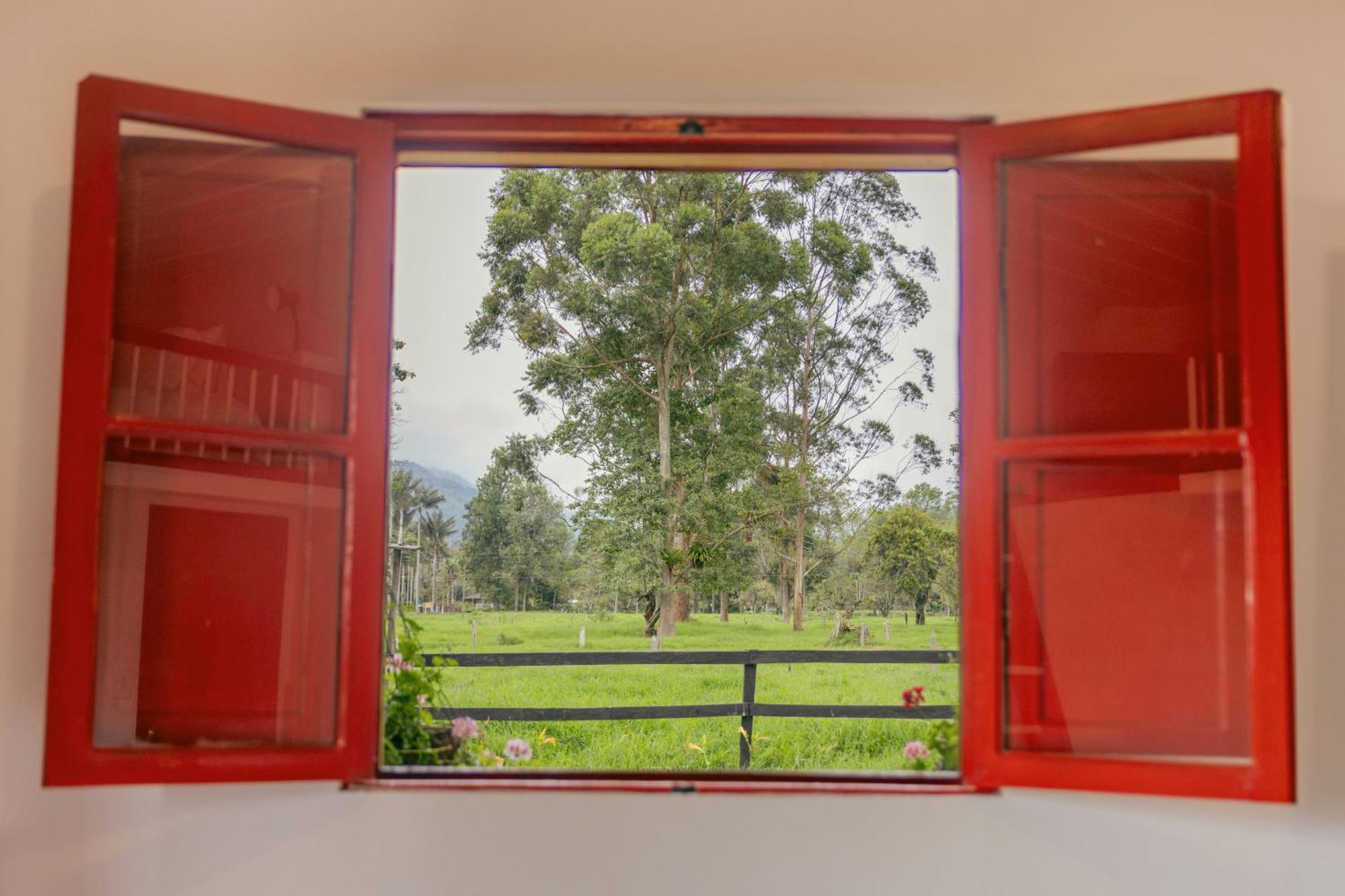 סאלנטו La Cabana Ecohotel - Valle Del Cocora חדר תמונה